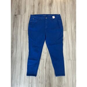 Lane Bryant Plus Size Blue Jeggings - Stretch Pull-On Jeans